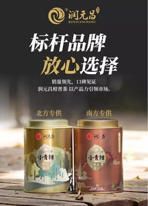 南北同喜,潤元昌2017年阿柑先生 茶中鳳凰小青柑震撼來襲