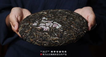 2019年福元昌牽手號扶貧茶帕當山區生茶357克價格與購買指南